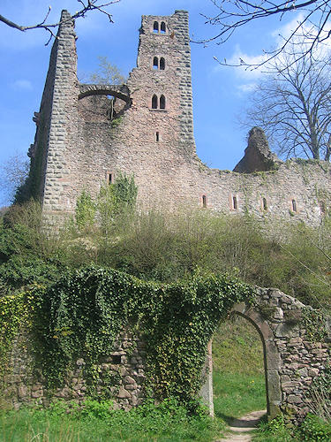 Burgruine Schauenburg