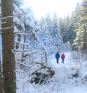 Wanderung im verschneiten Schwarzwald