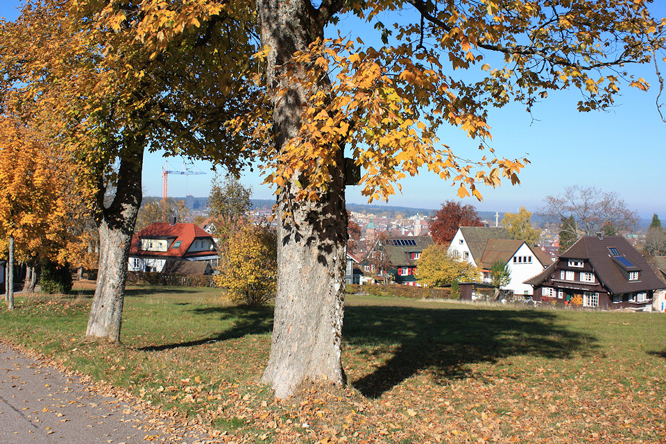 Herbst auf dem Kienberg, Freudenstadt