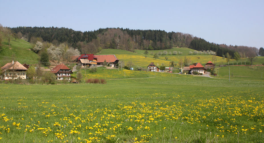 Frühlingswiese und Bauernhöfe