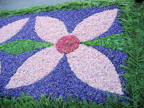 Fronleichnam-Blumenteppich