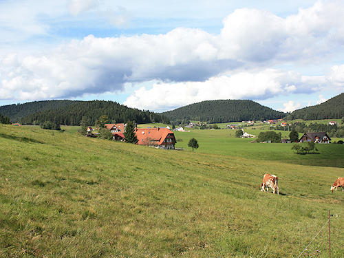 Landschaftsschutzgebiet Sulzbachtal