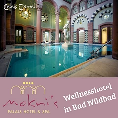 Mokni's Palais Hotel & Spa in Bad Wildbad
