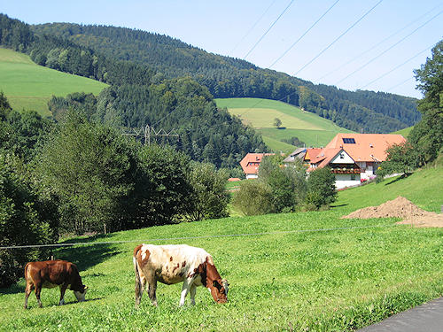 Mühlenbach im Schwarzwald