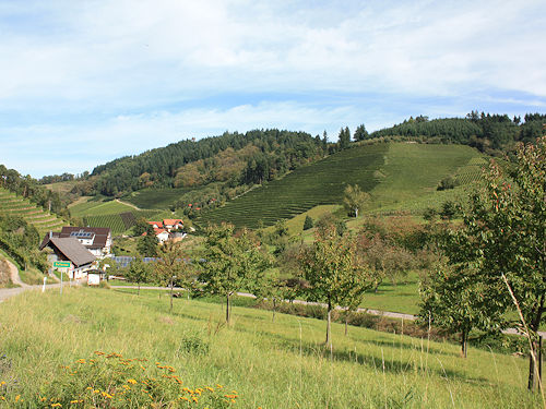 Der Ortsteil Bottenau