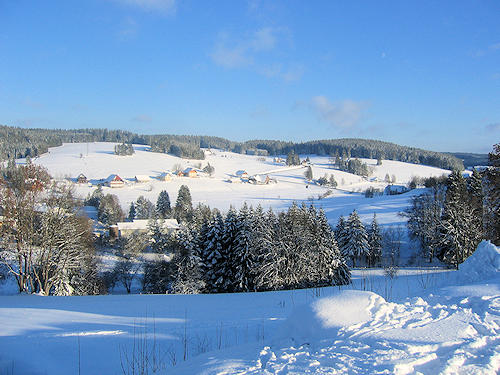 Schönwald im Winter