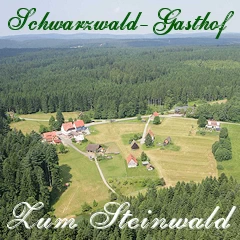 Schwarzwald-Gasthof Zum Steinwald in Loßburg-Vordersteinwald