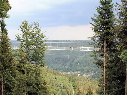 Hängebrücke Wildline