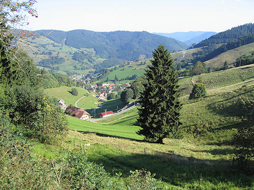 Blick vom Wiedener Eck ins Wiedenbachtal